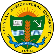 University Logo